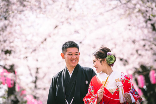 さくら　称名寺　和装　前撮り　桜　安い　満開　いつ　横浜　色打掛