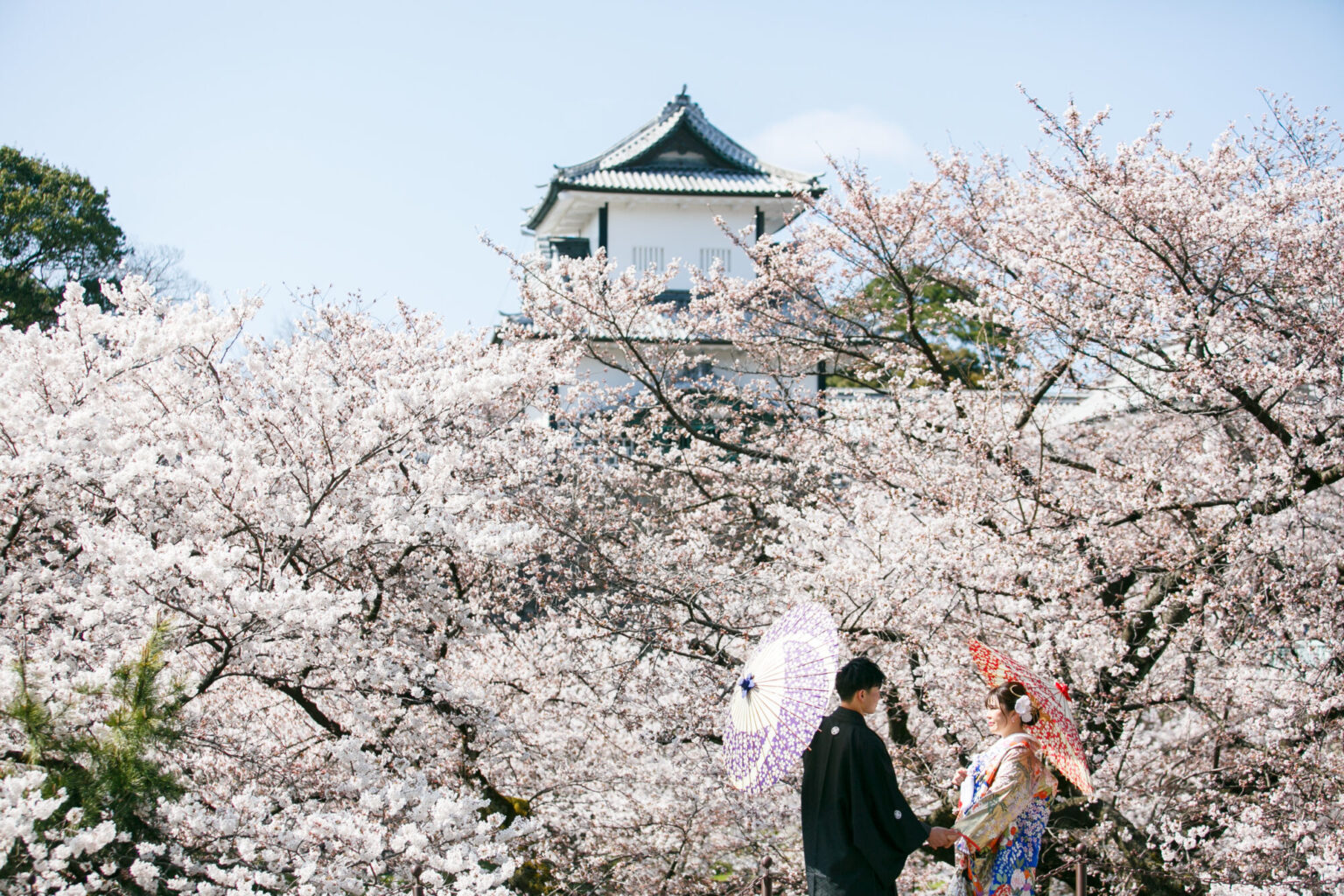 桜と金沢城で和装前撮り