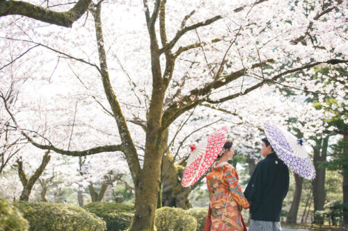 桜ロケーション01 兼六園 和装 フォトウェディング 花嫁 金沢