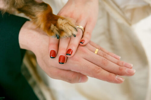 犬　ペット　フォトウェディング