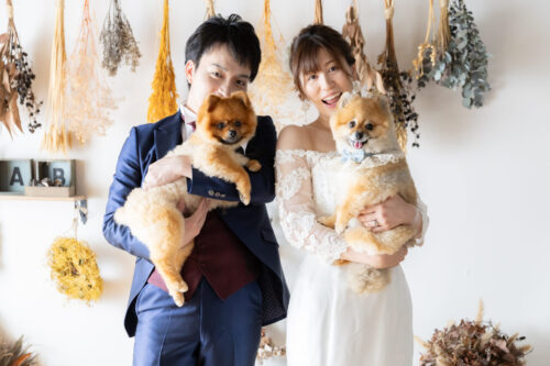 洋装　スタジオ　愛犬　ワンコ　ポメラニアン　犬　フォトウェディング　スタジオ　写真　結婚式　前撮り