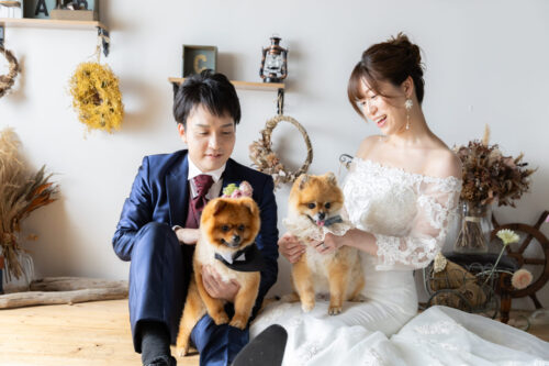 洋装　スタジオ　愛犬　ワンコ　ポメラニアン　犬　フォトウェディング　スタジオ　写真　結婚式　前撮り