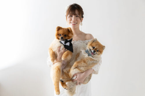 洋装　スタジオ　愛犬　ワンコ　ポメラニアン　犬　フォトウェディング　スタジオ　写真　結婚式　前撮り