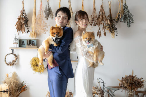 洋装　スタジオ　愛犬　ワンコ　ポメラニアン　犬　フォトウェディング　スタジオ　写真　結婚式　前撮り