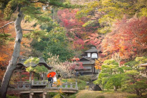 三溪園