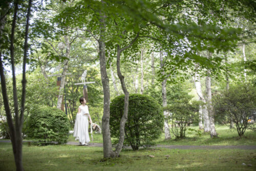 タリアセン　白樺　長野　フォトウェディング　森