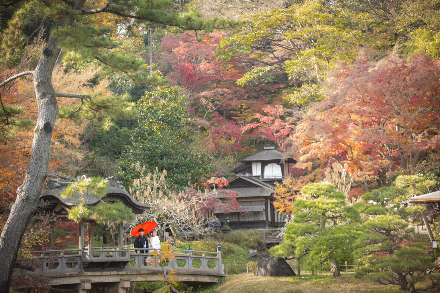 横浜　三渓園　三溪園　和装　日本　庭園　花嫁　結婚　写真　秋　紅葉