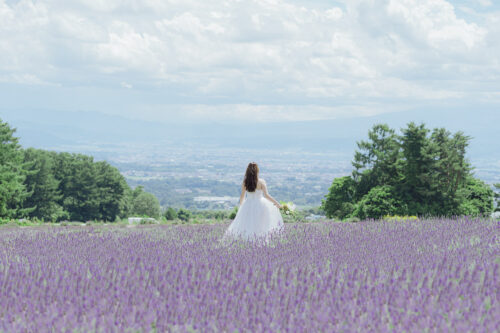 夢　ハーベスト農場　ラベンダー　北海道　軽井沢