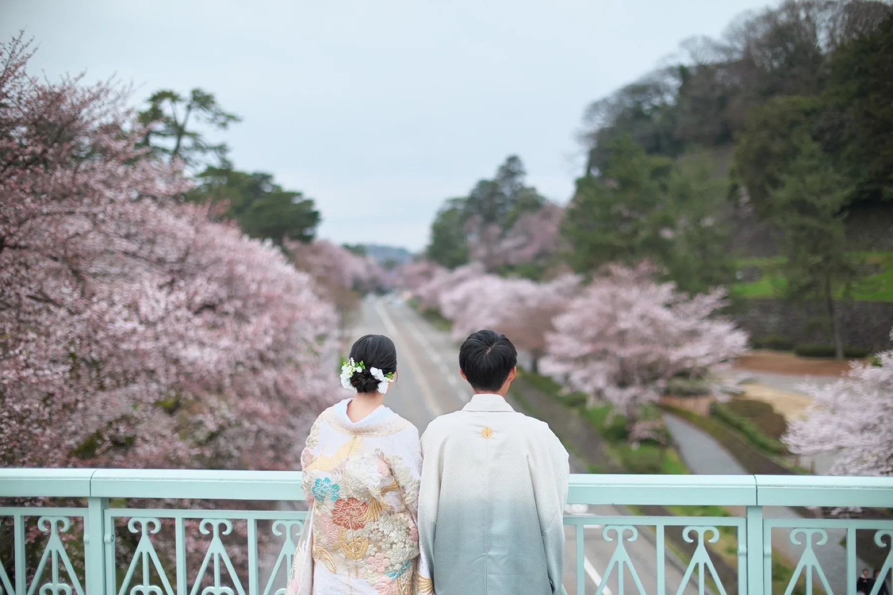 満開の桜並木を望む橋の上で寄り添う和装の新郎新婦、金沢の春の前撮り