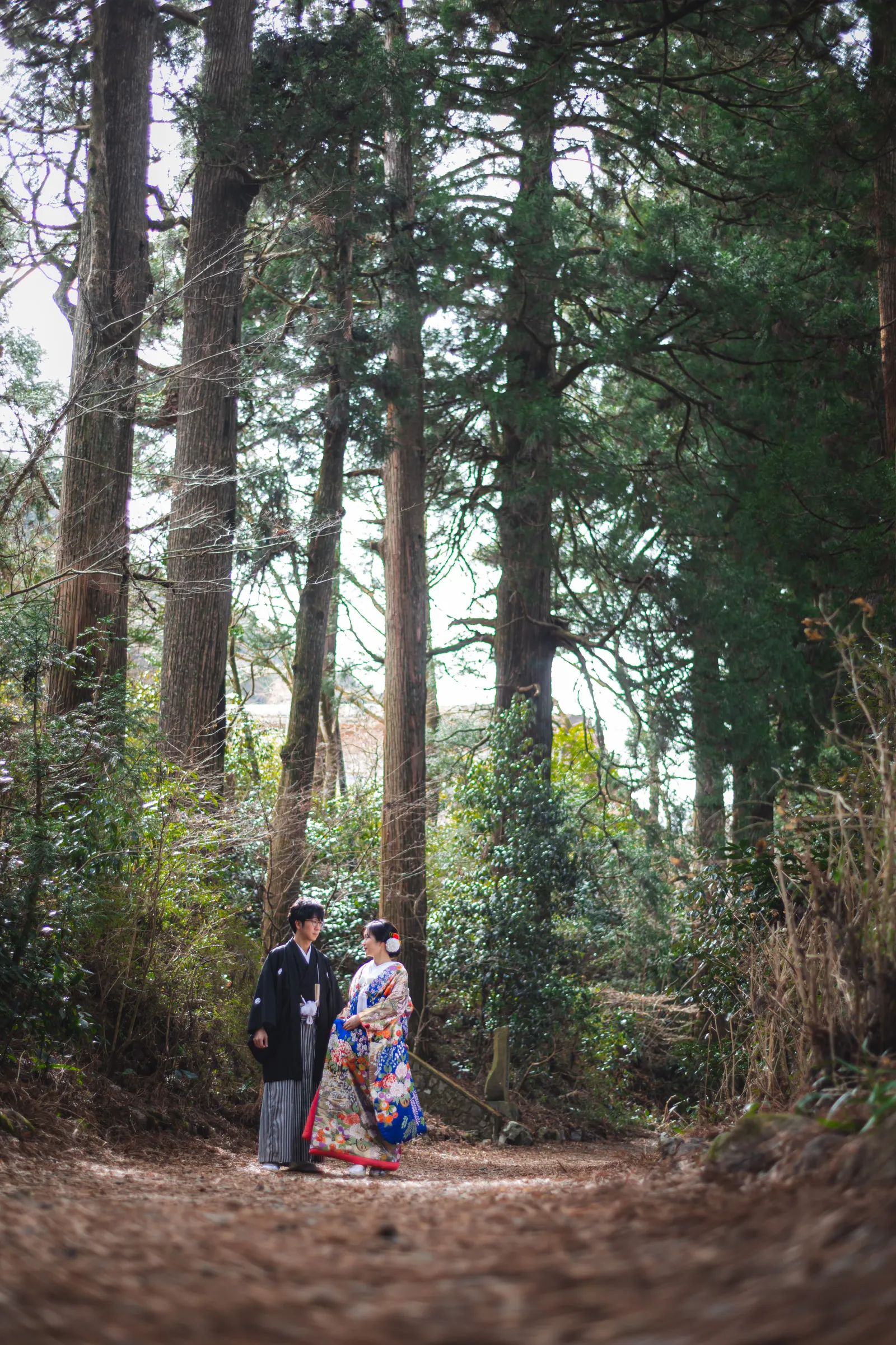 晴れ間の差した東海道の杉並木で和装ロケーション撮影をする新郎新婦