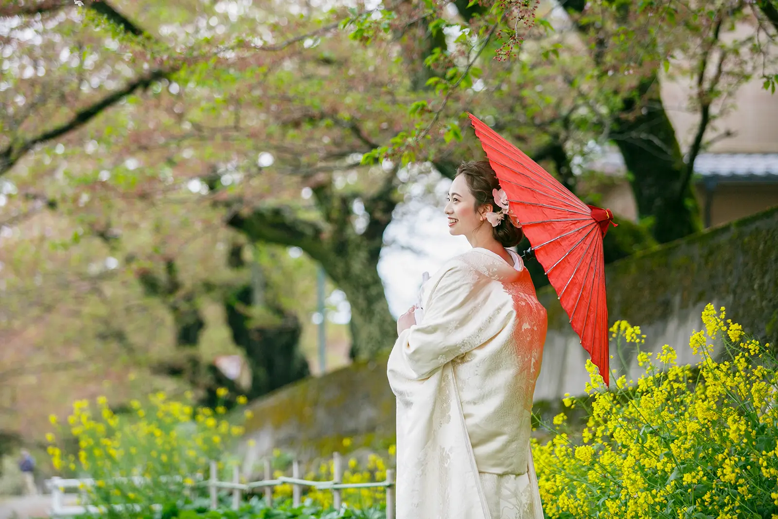 金沢で菜の花と桜を背景に赤い和傘を持つ白無垢姿の新婦