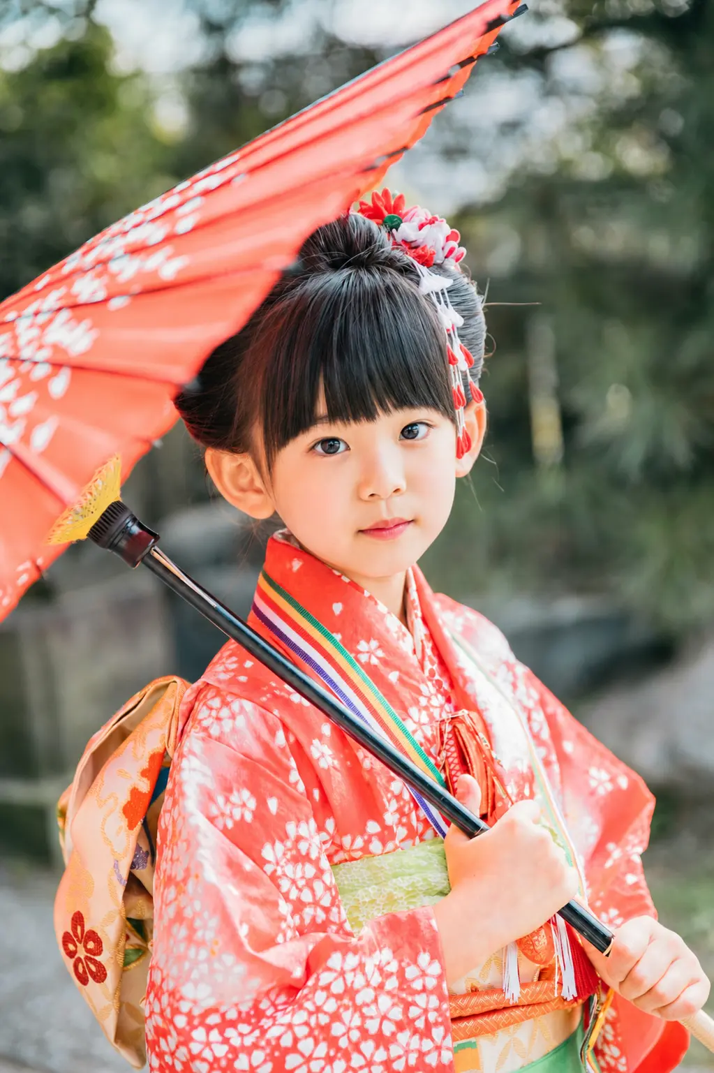 赤い和傘を肩にのせてこちらを見る7歳の女の子、四つ身と日本髪の七五三（本牧神社・横浜）