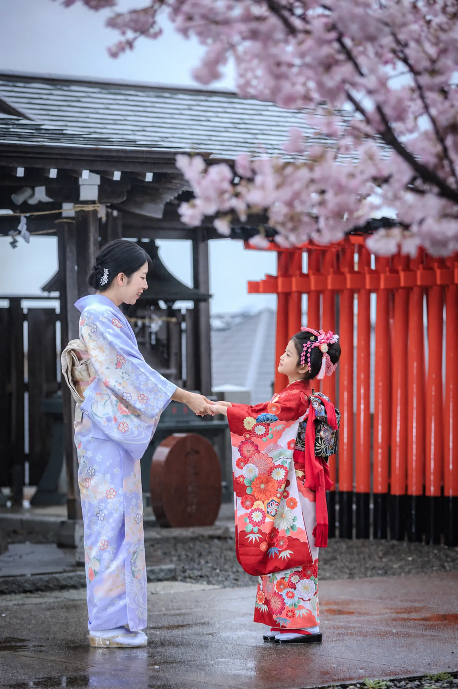 母と向かい合って手をつなぐ7歳の女の子、桜と手水舎を背にした四つ身姿の七五三（本牧神社・横浜）