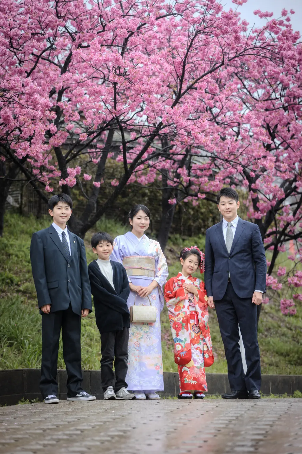 満開の桜の下に並ぶ家族5人の七五三記念写真、四つ身の7歳の女の子（本牧神社・横浜）