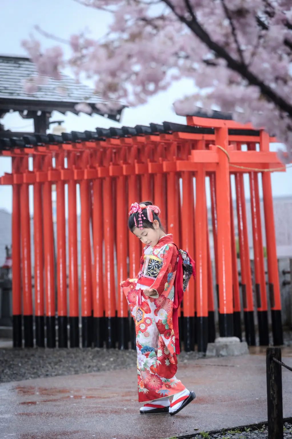 朱塗りの玉垣の前を歩く7歳の女の子、雨に濡れた石畳と四つ身姿の七五三（本牧神社・横浜）