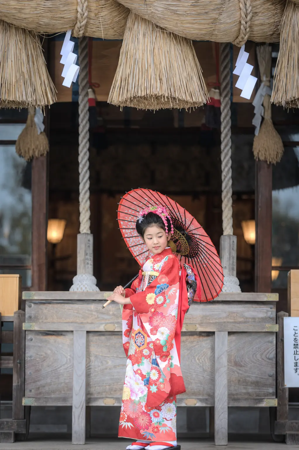 注連縄の下がる社殿前で赤い和傘を持つ7歳の女の子、四つ身姿の七五三（本牧神社・横浜）