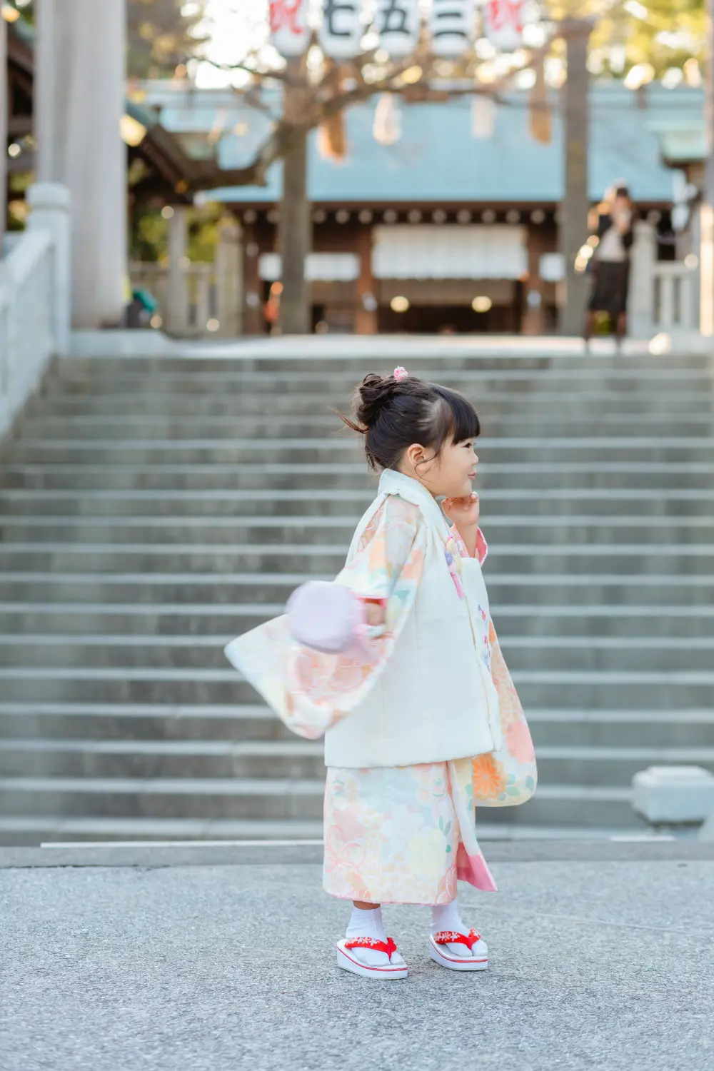 「祝七五三」の提灯が下がる社殿を背に振り向く3歳の女の子の後ろ姿、七五三の被布姿（伊勢山皇大神宮・横浜）