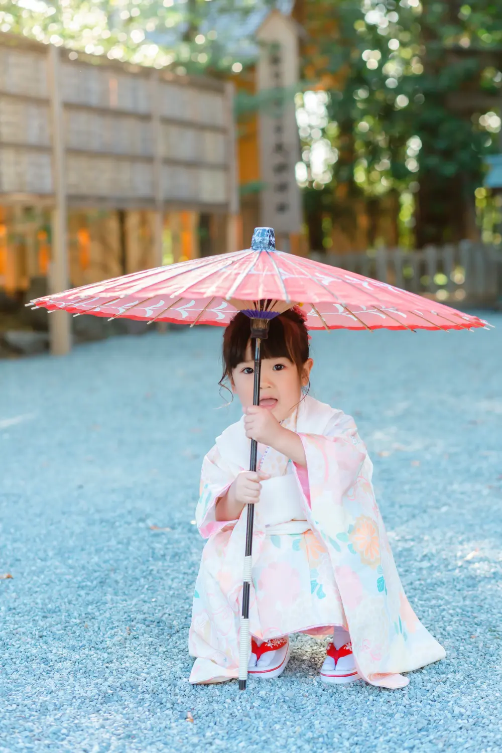 玉砂利の上で赤い和傘を立てて持ちしゃがむ3歳の女の子、七五三の着物姿（伊勢山皇大神宮・横浜）