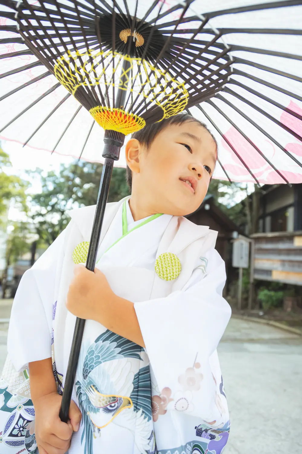 黒い骨の番傘をかついでおどける3歳の男の子、白い被布姿の七五三（伊勢山皇大神宮・横浜）
