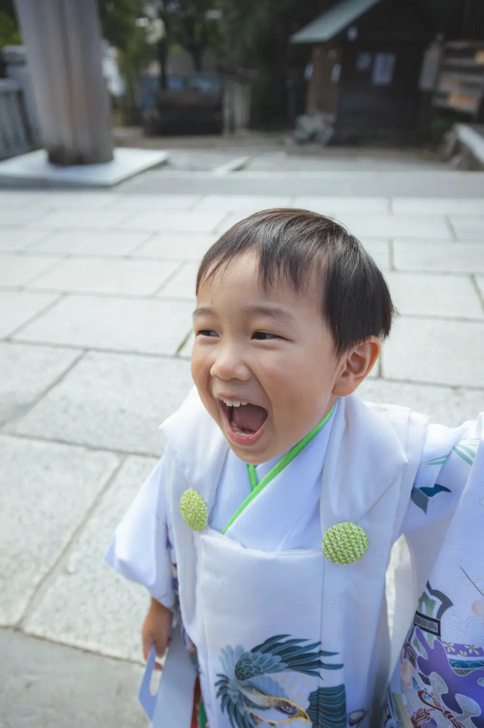 大きな口を開けて笑う3歳の男の子、白い被布と黄緑の被布飾りのアップ、伊勢山皇大神宮の七五三（横浜）