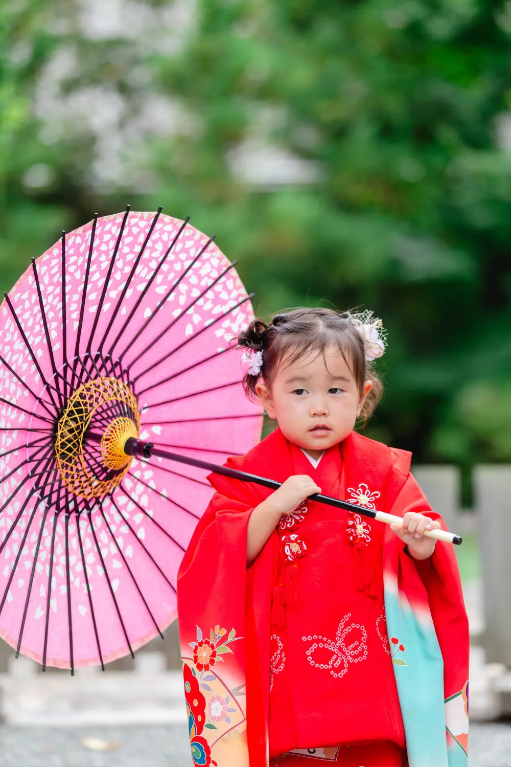 ピンクの和傘を肩に担いだ朱赤の被布姿の3歳の女の子、七五三前撮り（伊勢山皇大神宮・横浜）