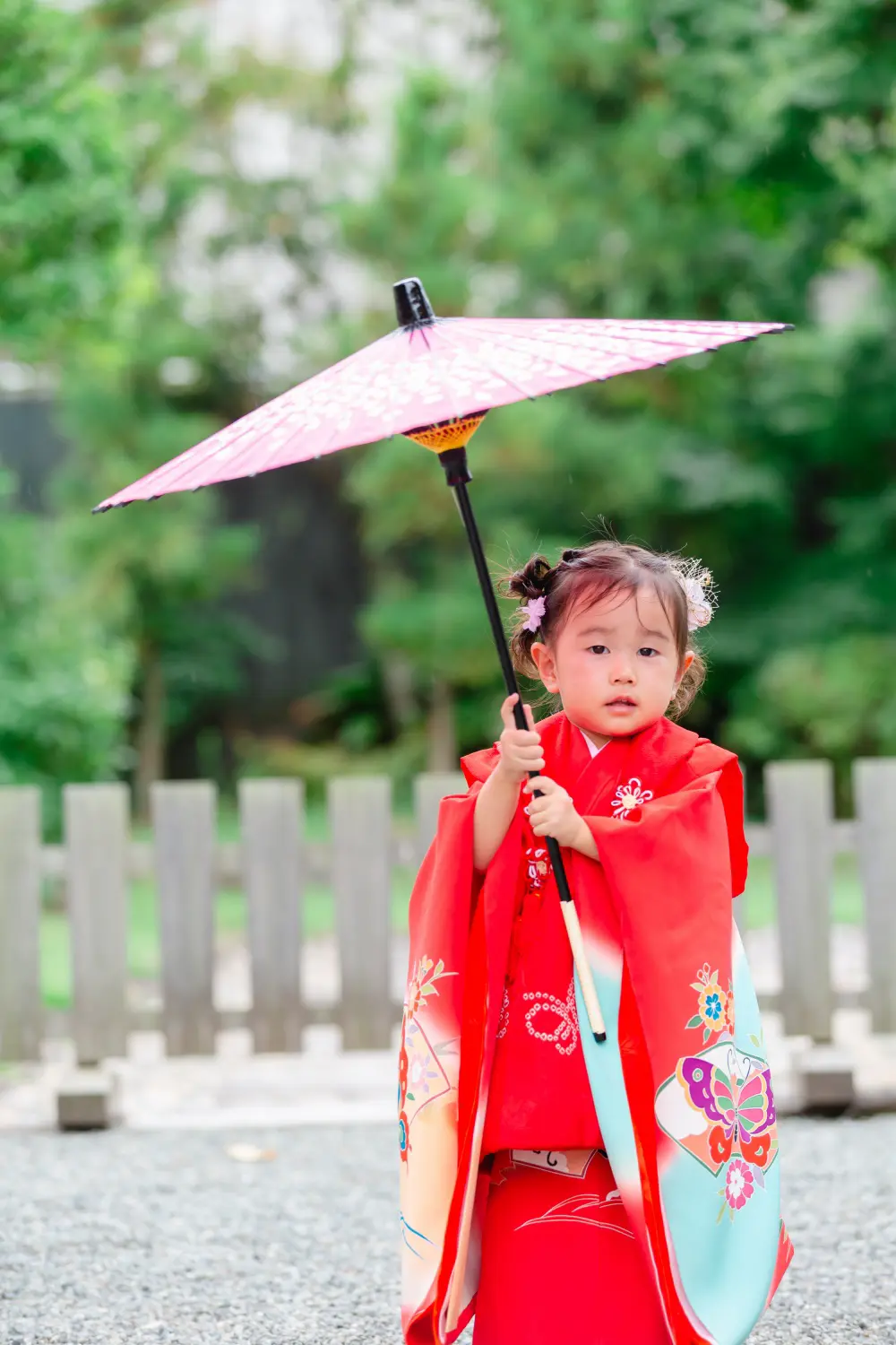 ピンクの和傘を頭上に差した朱赤の被布姿の3歳の女の子の全身、七五三（伊勢山皇大神宮・横浜）