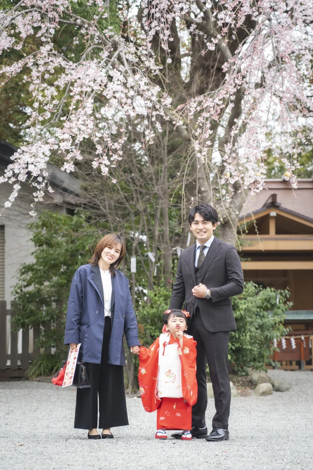 桜満開の伊勢山皇大神宮で、3歳の七五三｜横浜の出張撮影レポート