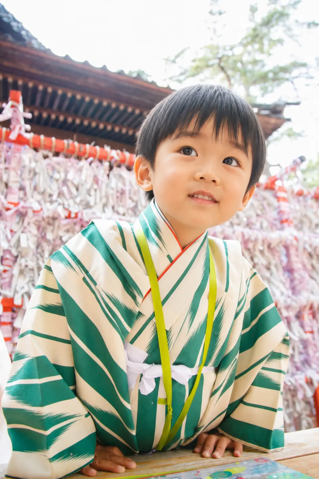白いおみくじが結ばれた結び所の前で見上げる3歳の男の子｜石浦神社の七五三出張撮影（金沢）
