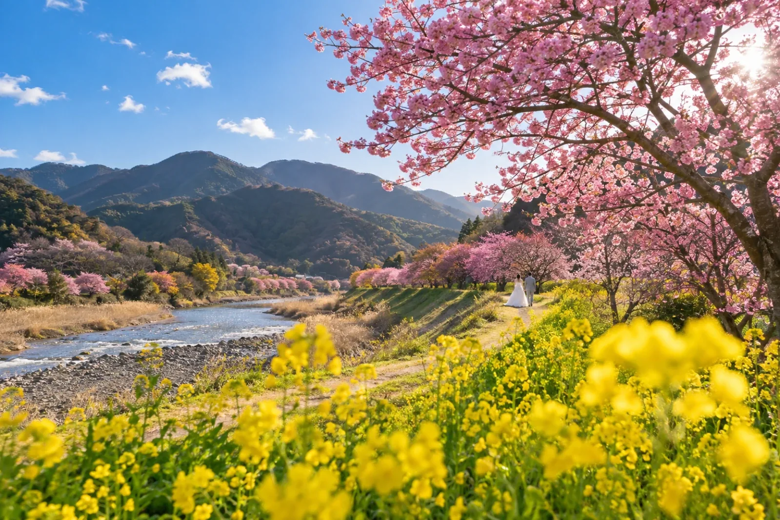 手前に菜の花、川沿いの土手の小道を歩くウェディング衣装のふたりの後ろ姿、右手に大きなカワヅザクラ