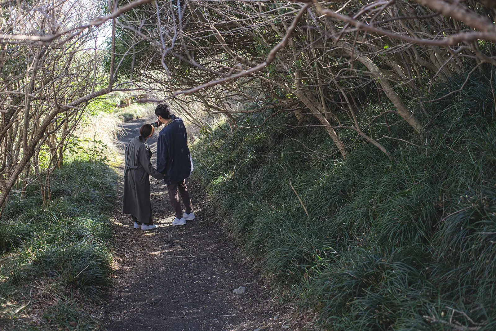 伊豆大島の木々に囲まれた自然のトンネルを歩くカップルの写真