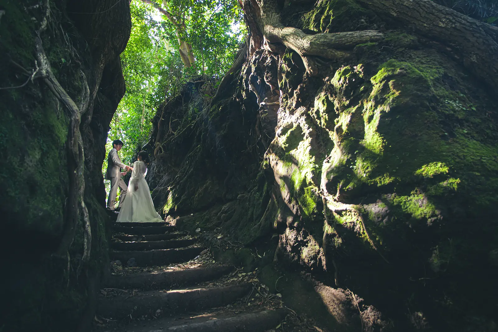 伊豆大島・泉津切り通しの苔むした石段で撮影したフォトウェディング写真