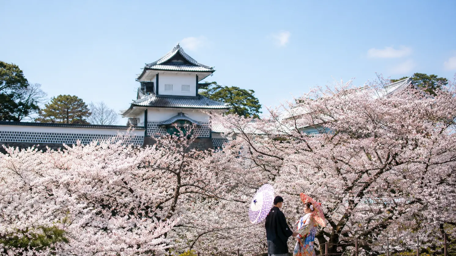 金沢城と満開の桜を背景に和傘を持った新郎新婦が向かい合う和装フォトウェディング写真