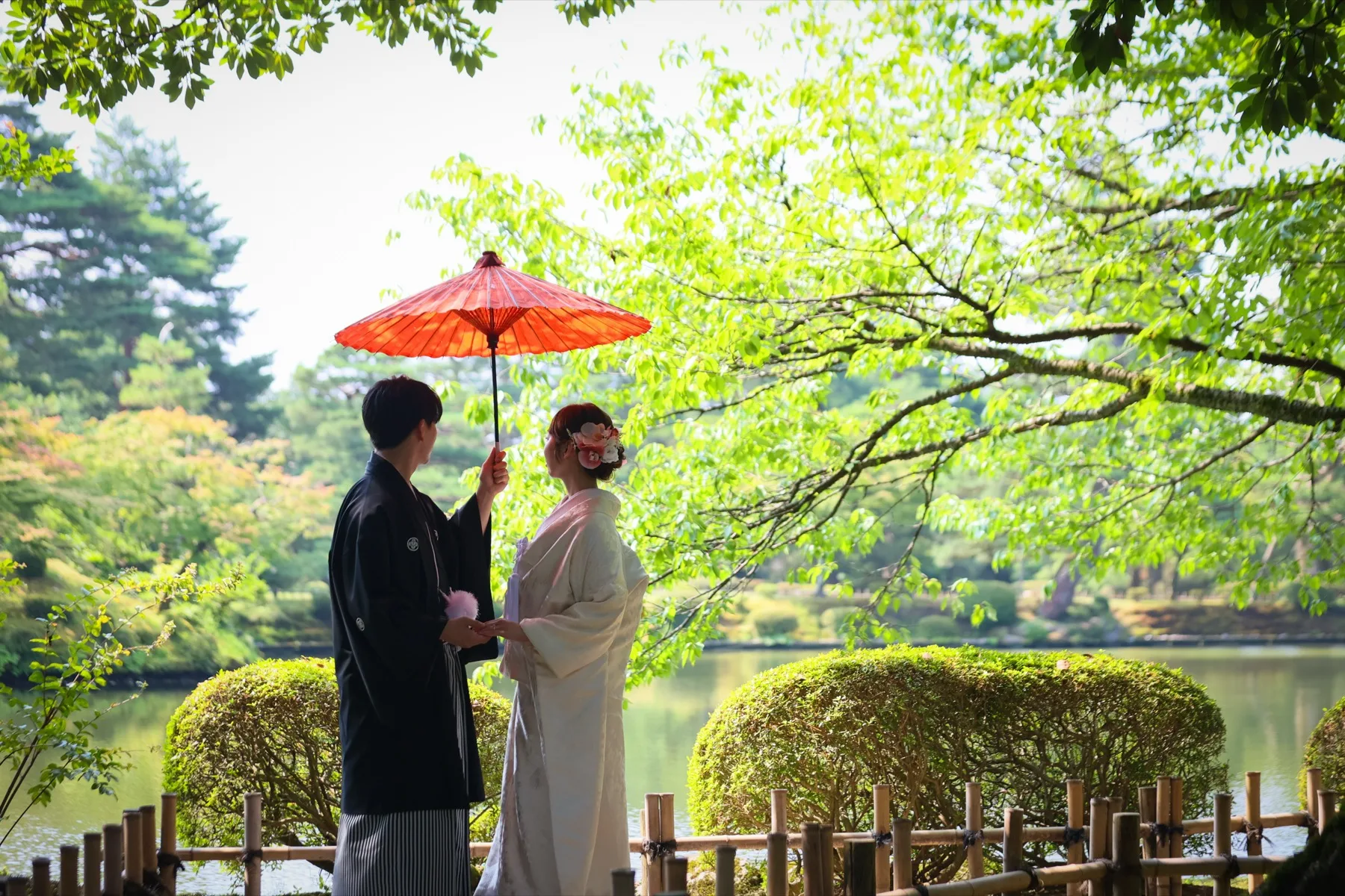 金沢の緑ゆたかな日本庭園で、赤い和傘を差す黒紋付の新郎と白無垢の花嫁|和装ロケーションのフォトウェディング