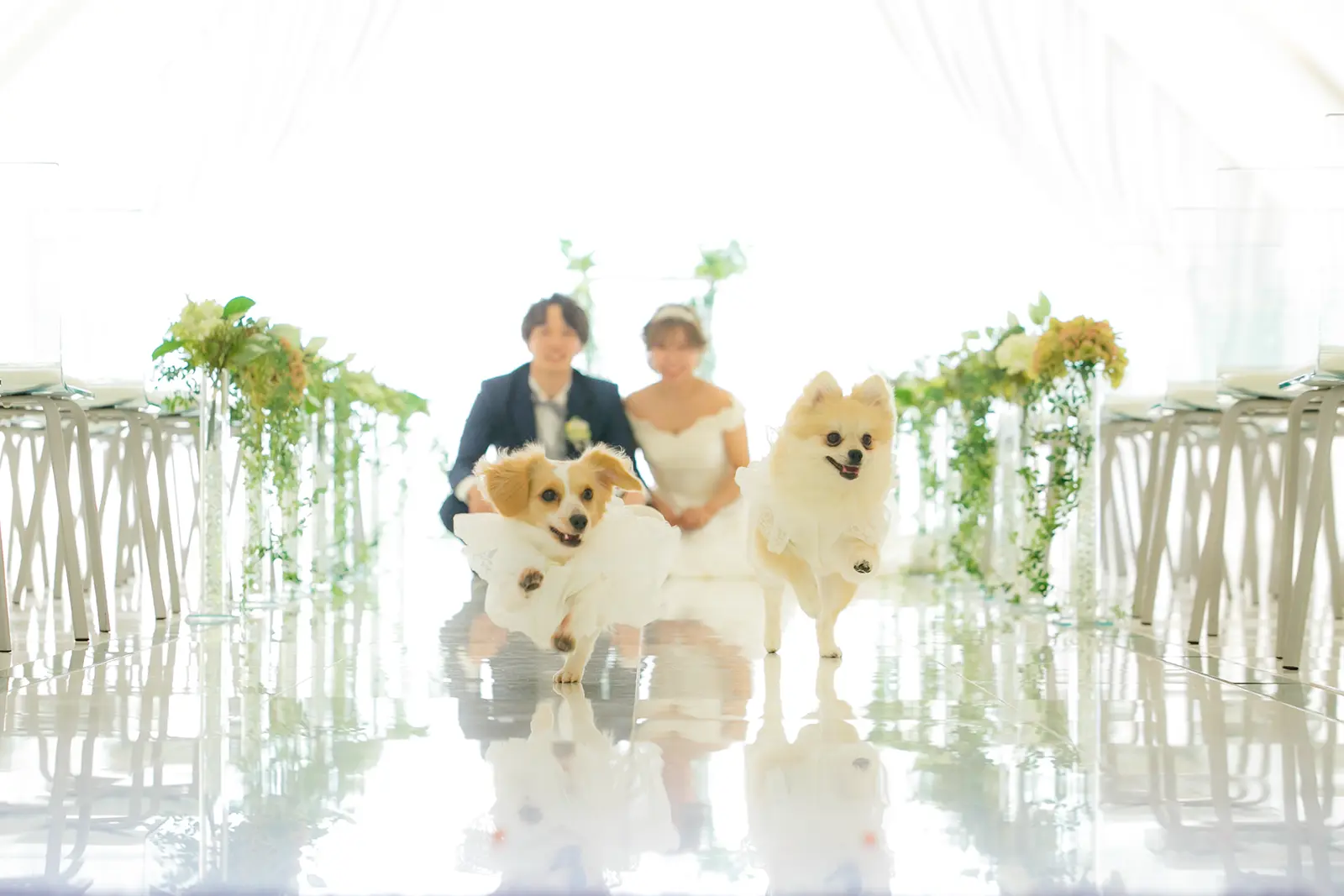 金沢国際ホテルのチャペルで新郎新婦と愛犬を一緒に撮影したフォトウェディング写真