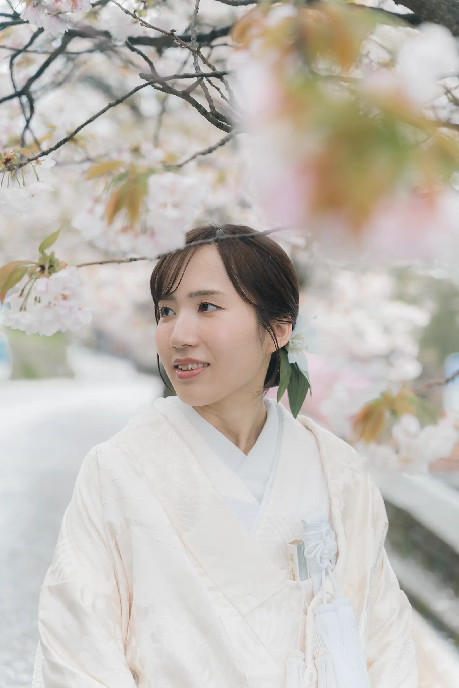 桜の下で白無垢姿の花嫁を写した前撮り写真