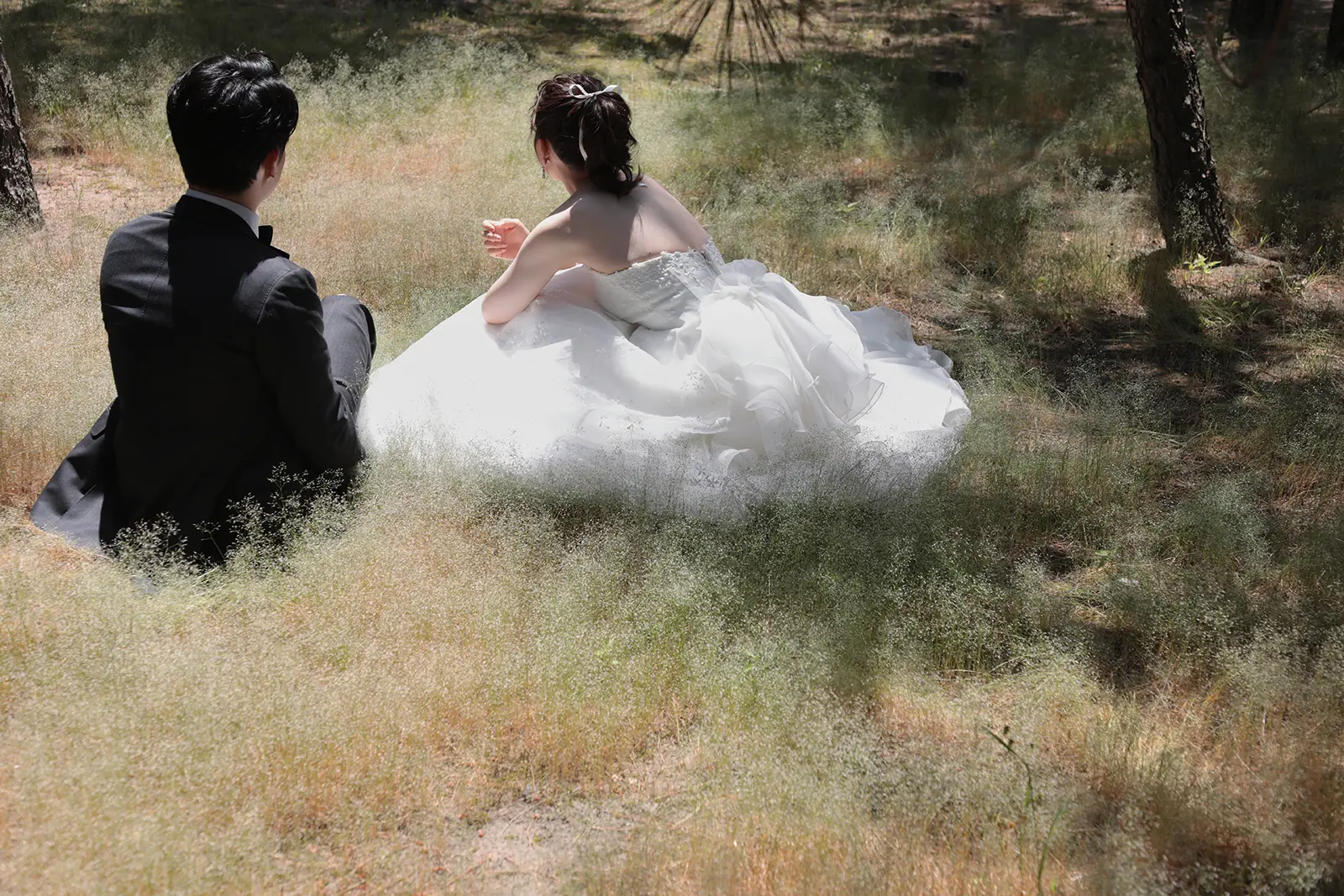 草の中に座る新郎新婦の後ろ姿を写した写真