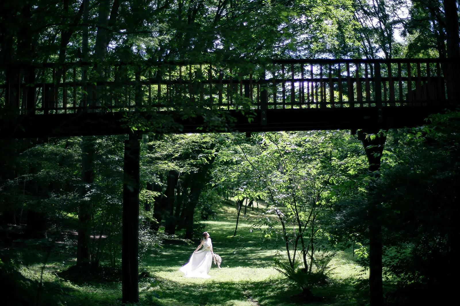 軽井沢の森の中でドレス姿の花嫁が佇むフォトウェディング・前撮りのイメージ