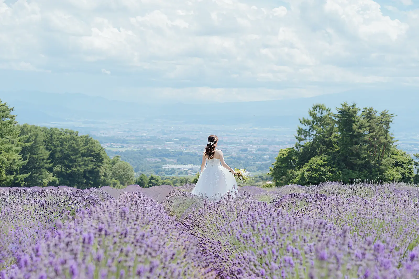 軽井沢の夢ハーベスト農場のラベンダー畑で撮影する花嫁のフォトウェディング