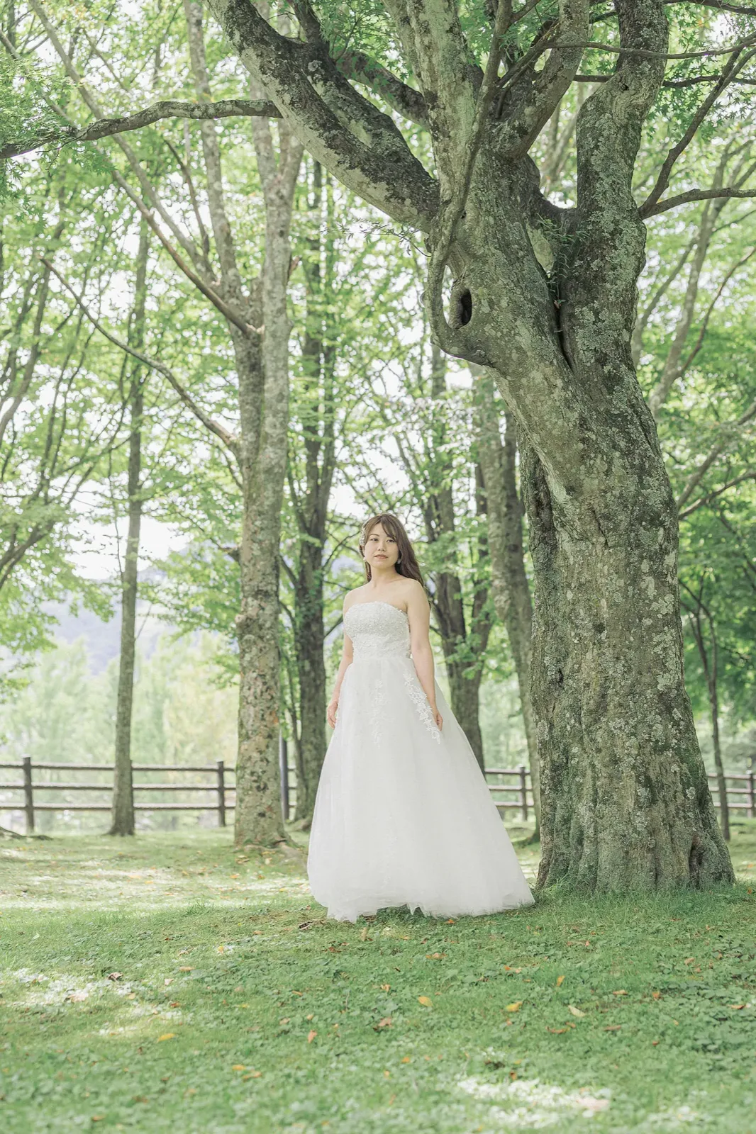 矢ヶ崎公園の大木の下に立つウェディングドレスの新婦の縦位置カット