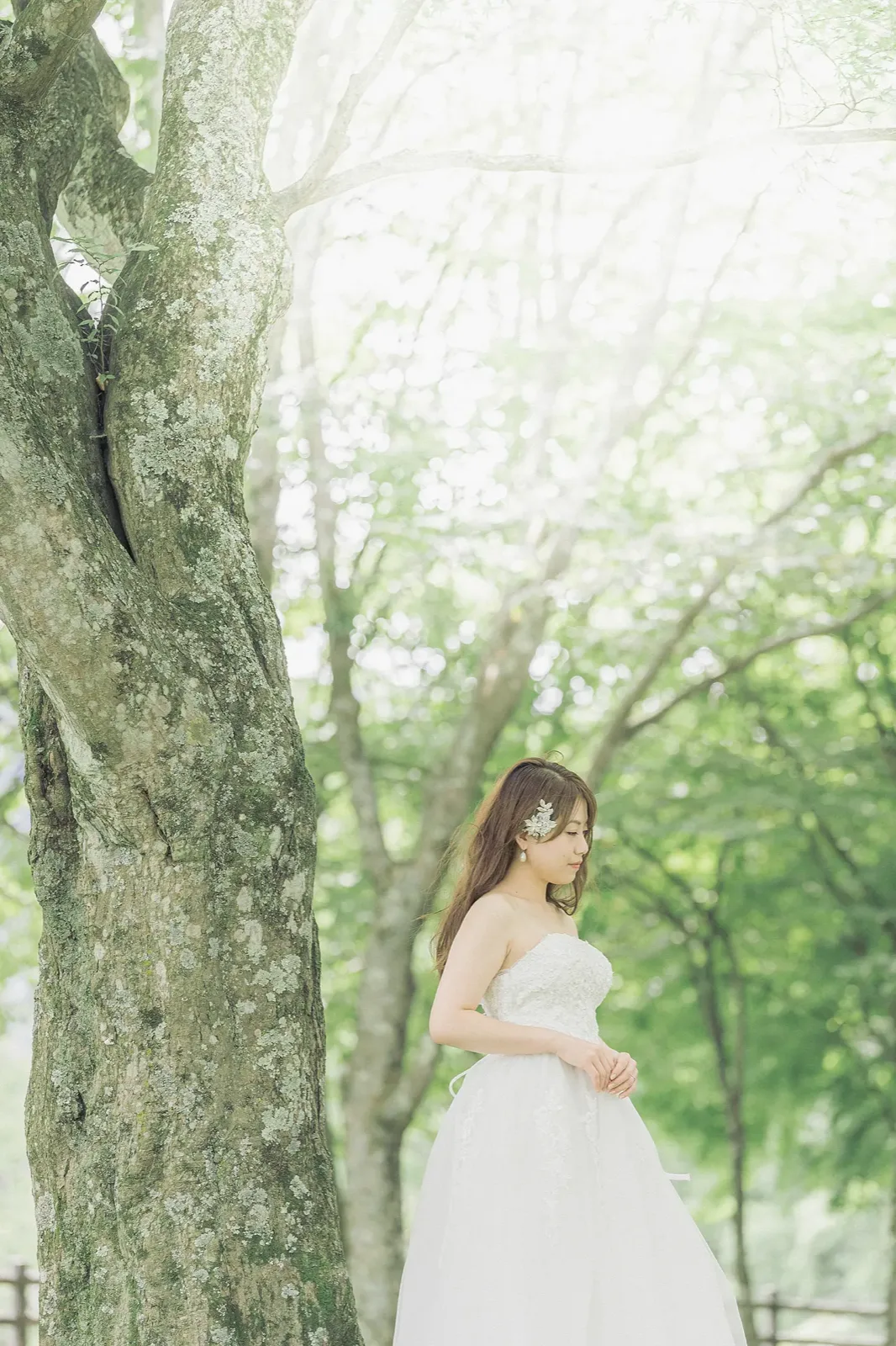 光に包まれた矢ヶ崎公園の木立に立つウェディングドレスの新婦