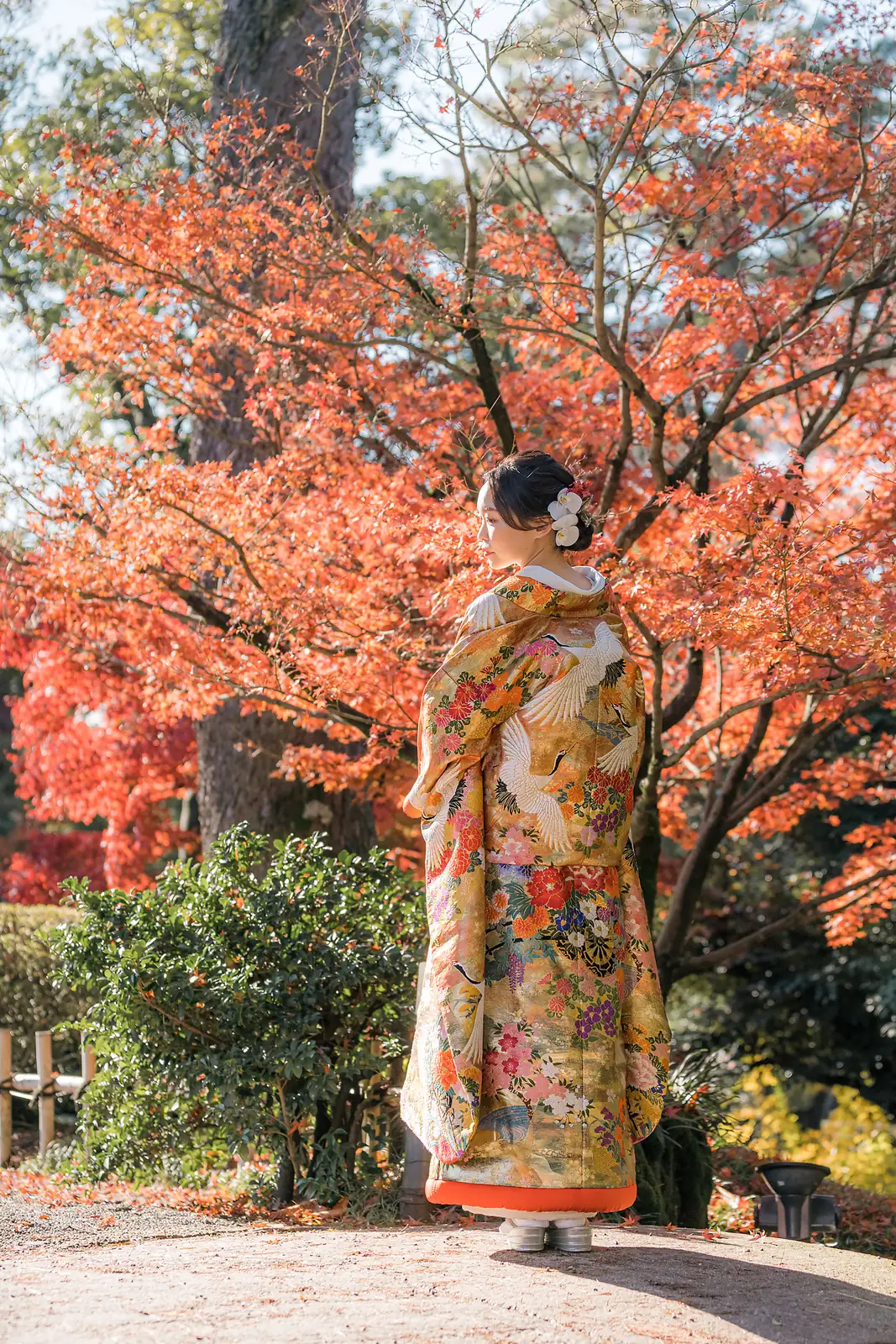 兼六園の紅葉を背景に立つ、金地に鶴の舞う色打掛の後ろ姿