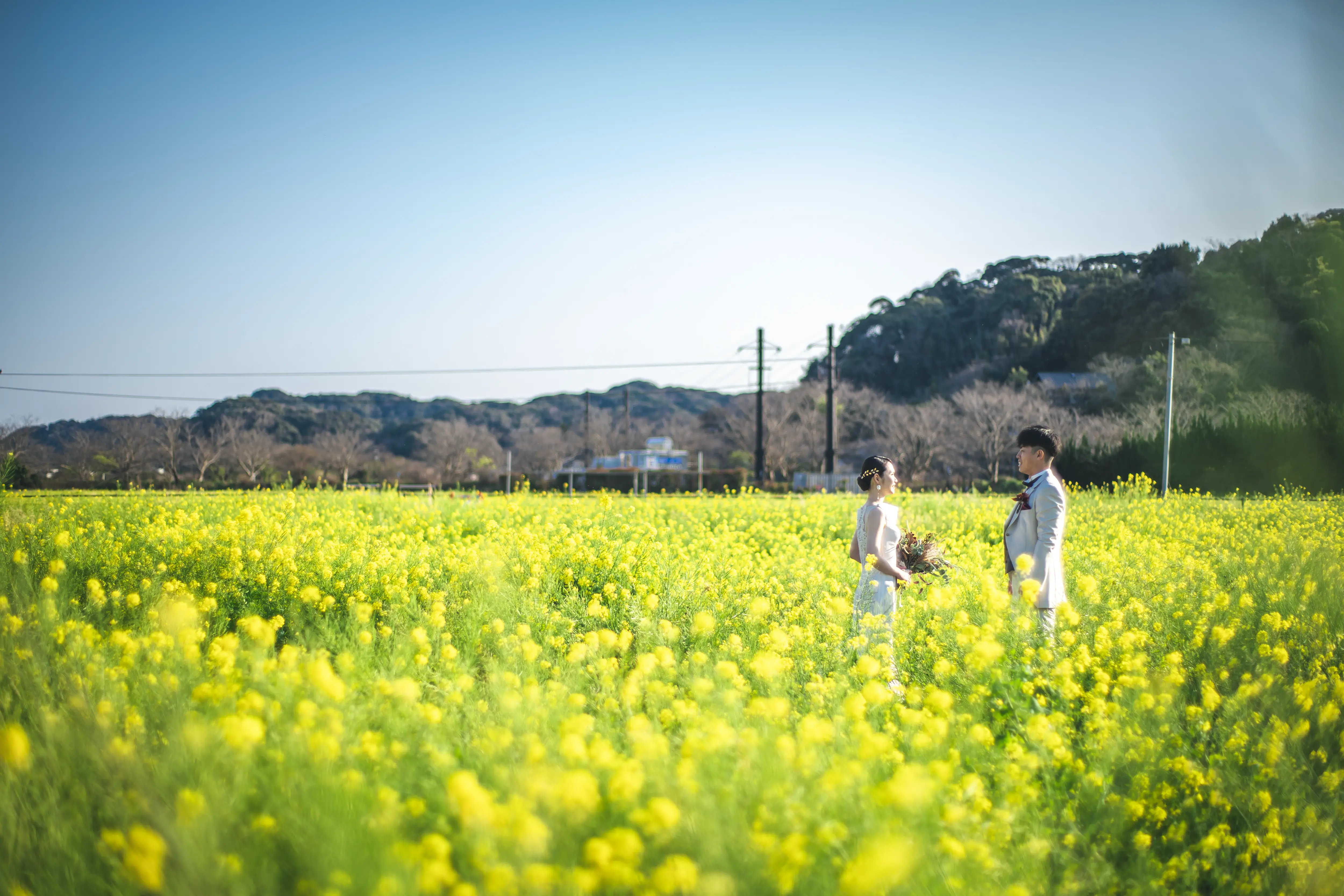 南伊豆・菜の花畑でのフォトウェディング・前撮り03