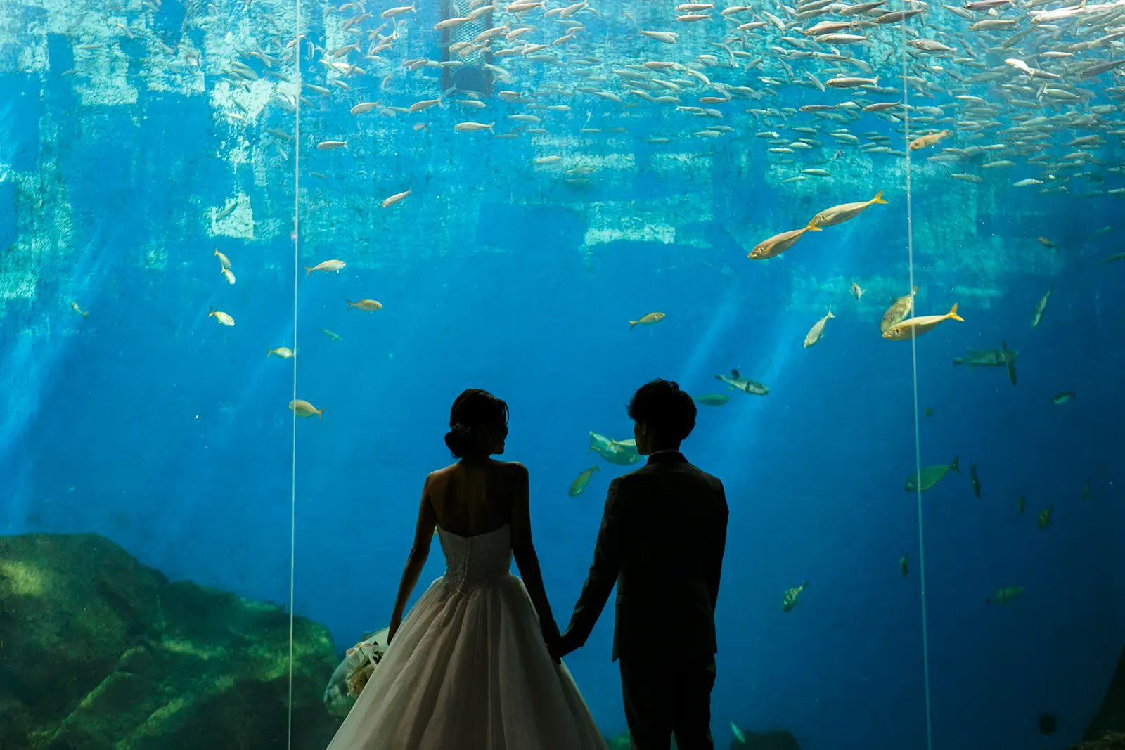 のとじま水族館の大きな水槽の前で手をつなぐ洋装姿の新郎新婦のシルエット
