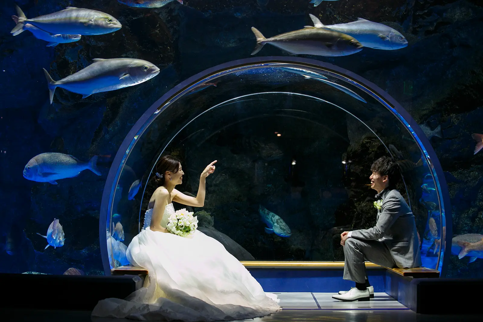 のとじま水族館のトンネル水槽の前で向かい合う洋装姿の新郎新婦