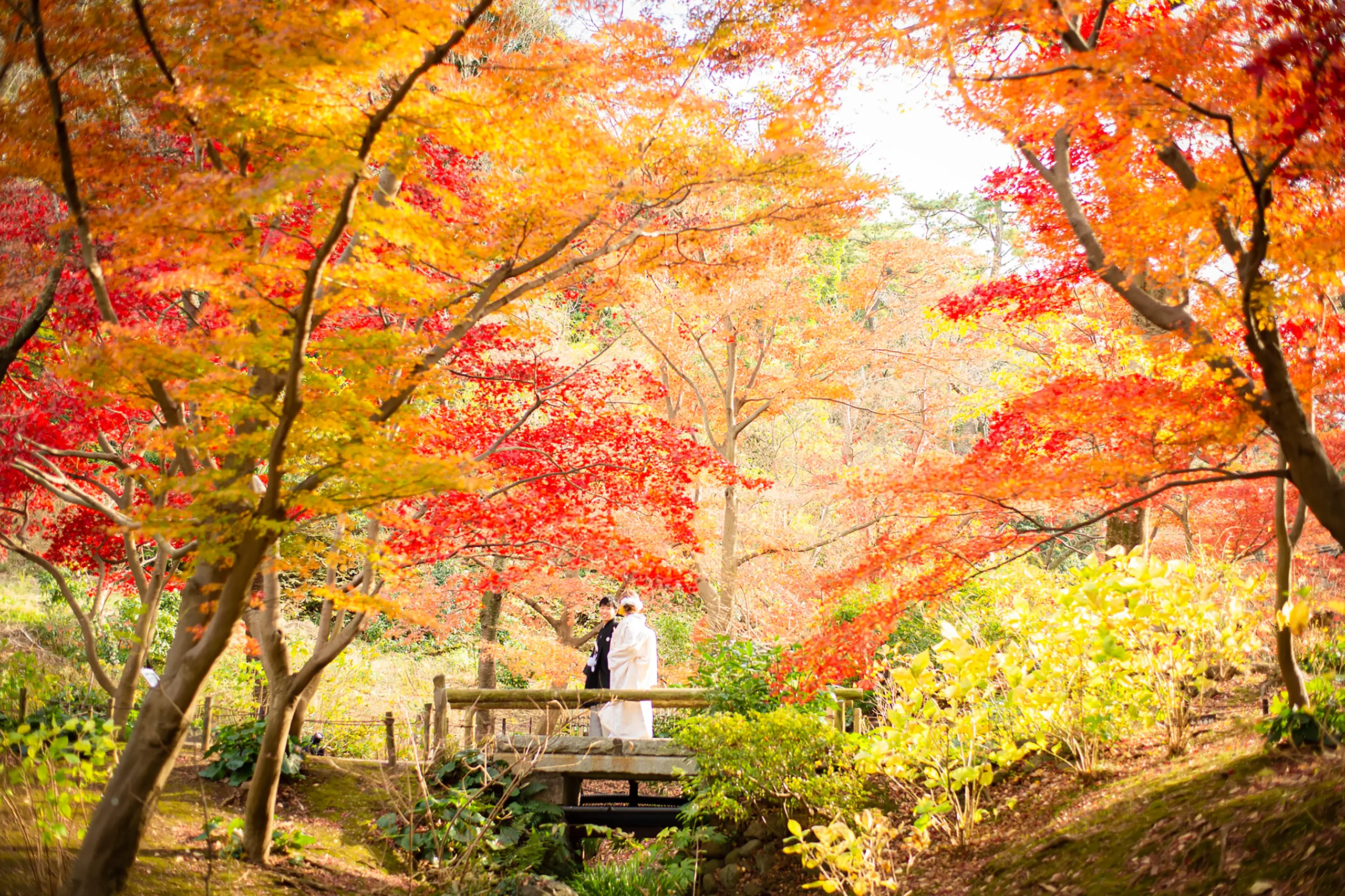 横浜 三溪園での和装前撮り。鮮やかな紅葉に包まれたロケーションフォト。