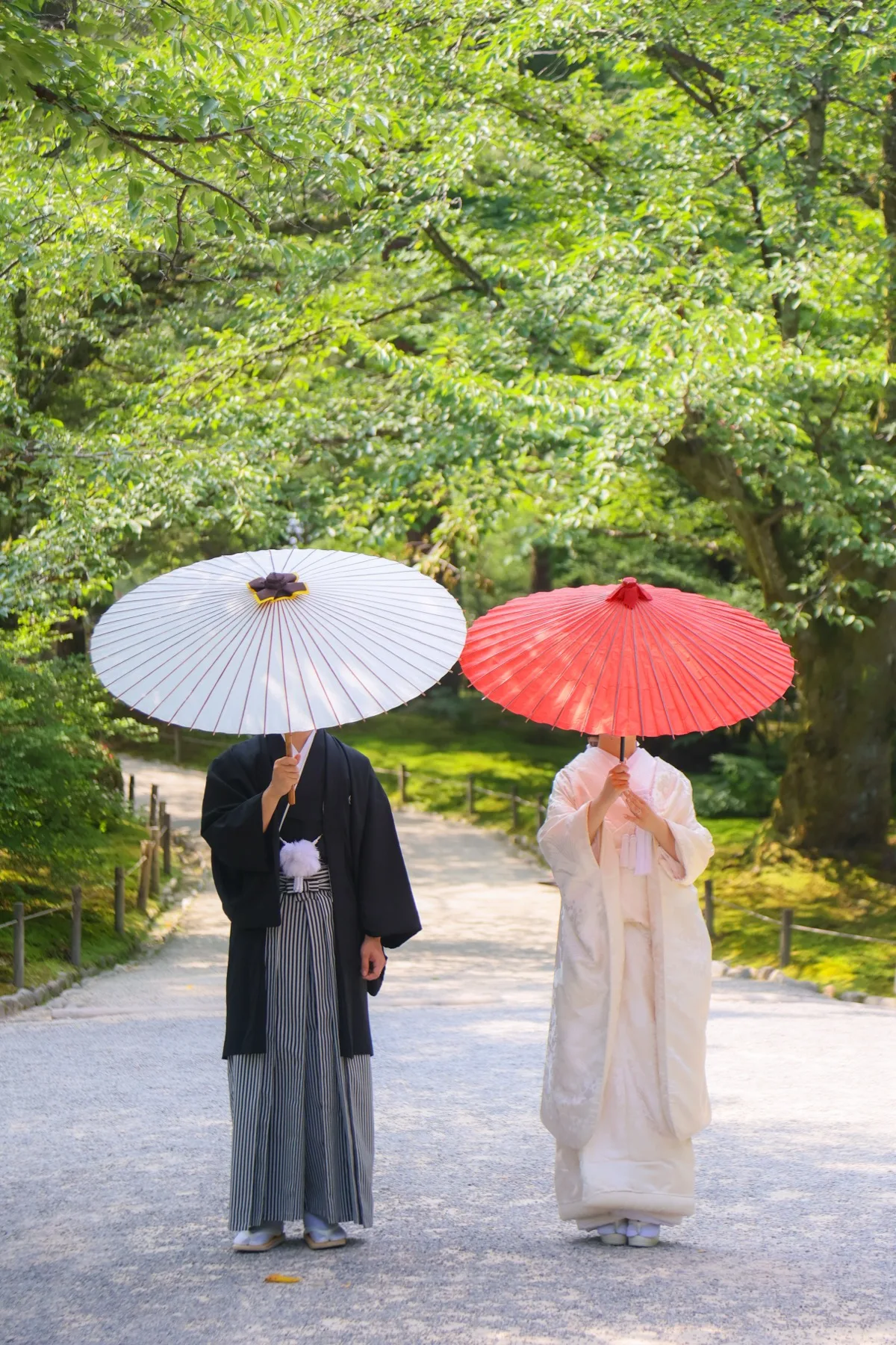 新緑の並木道で赤と白の番傘を差す白無垢の花嫁と黒紋付袴の新郎|金沢の和装ロケーションフォトウェディング