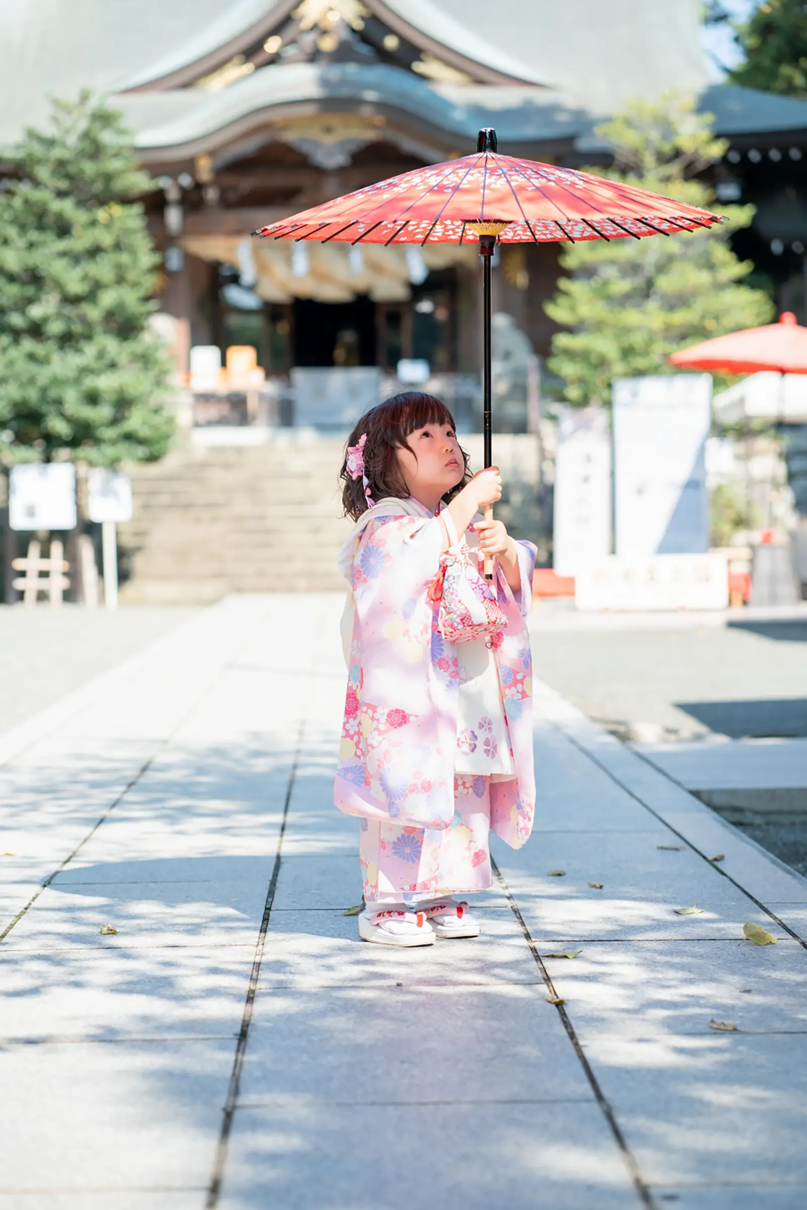 六所神社の社殿を背に、朱色の和傘を高く掲げて見上げる被布姿の3歳の女の子の七五三撮影