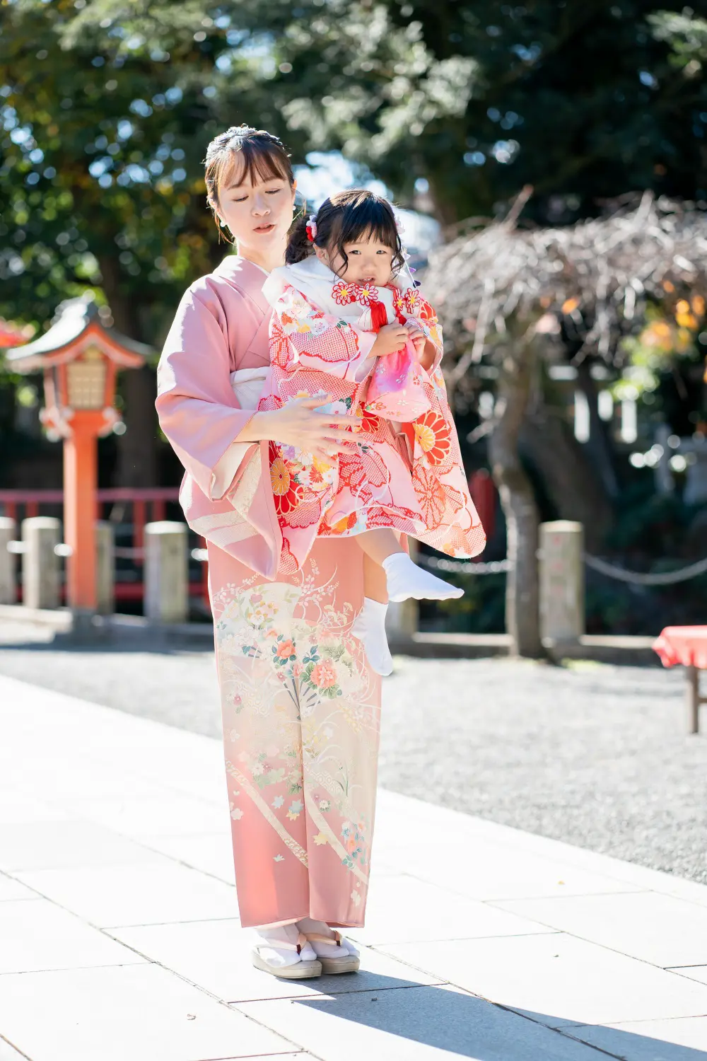 淡いピンクの訪問着の母に抱かれた被布姿の3歳の女の子、六所神社の参道での七五三撮影（大磯）