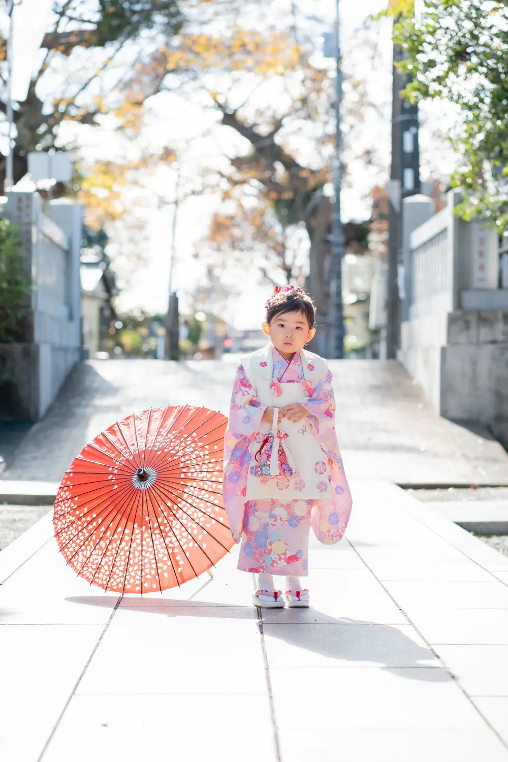 参道に立ち巾着を両手で持つ被布姿の3歳の女の子、七五三の全身（六所神社・大磯）