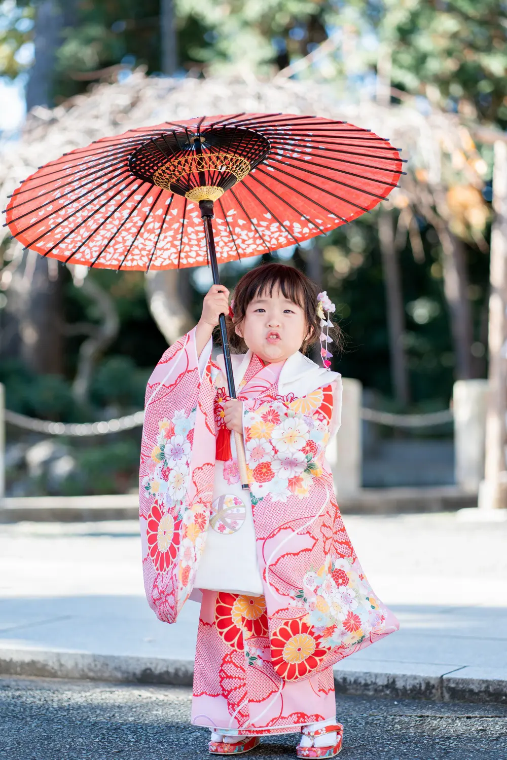 赤い和傘を高く掲げた白い被布コート姿の3歳の女の子の全身、六所神社の七五三撮影（大磯）